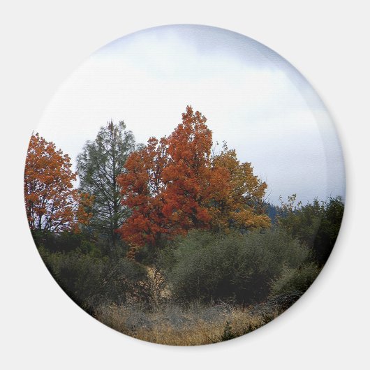 Die Schönheit des Herbstes... Magnet (Vorne)