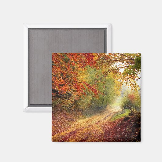 Die Schönheit des Herbstes Magnet (Vorderseite/Rückseite)