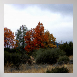 Die Schönheit des Herbstes... Poster