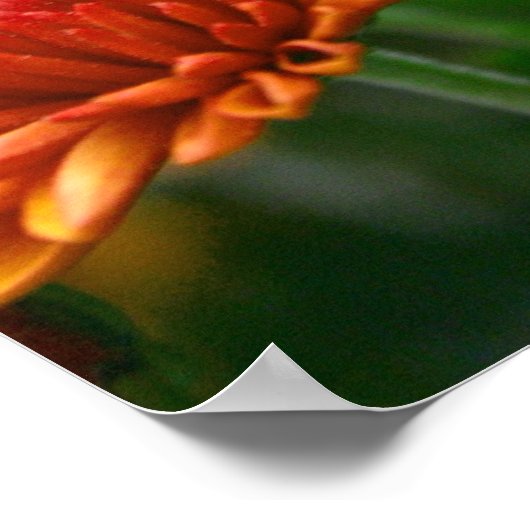 Die Schönheit des Herbstes Poster (Ecke)