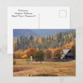 Die Schönheit des Herbstes.. Postkarte (Vorne/Hinten)