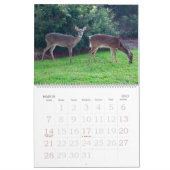 Die Schönheit des Hilton Head Island Calendar Kalender (Mär 2027)