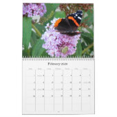 Die Schönheit des Kalenders der Schmetterlinge Kalender (Feb 2026)