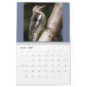 Die Schönheit des wilden Vogel-Kalenders Kalender (Mär 2027)