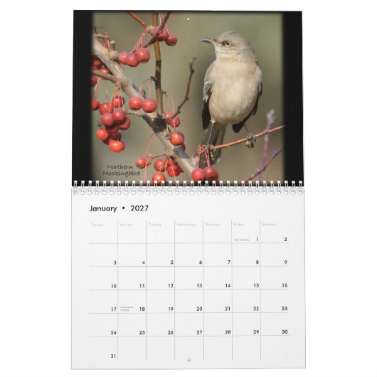 Die Schönheit des wilden Vogel-Kalenders Kalender (Jan 2027)