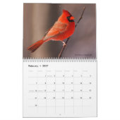 Die Schönheit des wilden Vogel-Kalenders Kalender (Feb 2027)