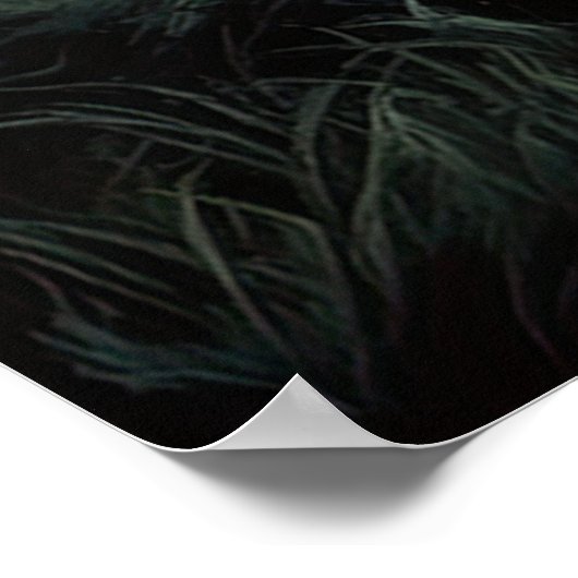 Die Schönheit eines alten Sumpfes Poster (Ecke)