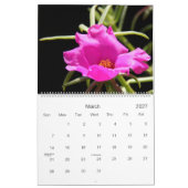 Die Schönheit eines Gartens, Blumen-Kalender 2014 Kalender (Mär 2027)