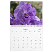 Die Schönheit eines Gartens, Blumen-Kalender 2016 Kalender (Jan 2027)