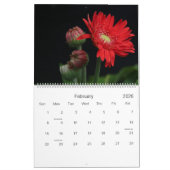 Die Schönheit eines Gartens, Blumen-Kalender 2016 Kalender (Feb 2026)