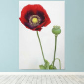 Die Schönheit ist auch das Biest Leinwanddruck (Insitu (Holzboden))