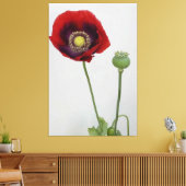 Die Schönheit ist auch das Biest Leinwanddruck (Insitu (Wohnzimmer))