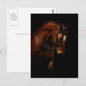 Die Schönheit Postkarte (Vorne/Hinten)