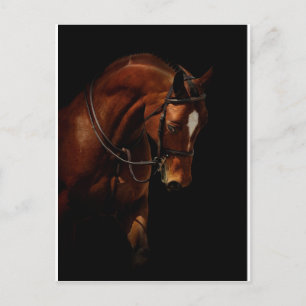 Die Schönheit Postkarte