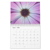 Die Schönheit von Makrophotographie Kalender (Mär 2026)