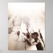 Die Schönheiten Poster (Vorne)