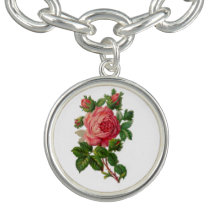 Die schönste Vintage Rosa Rose