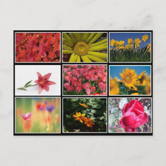 Die schönsten Blume Collage Postcard Postkarte