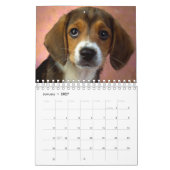 Die schönsten Welpen der Welt Kalender (Jan 2027)
