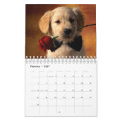 Die schönsten Welpen der Welt Kalender (Feb 2027)