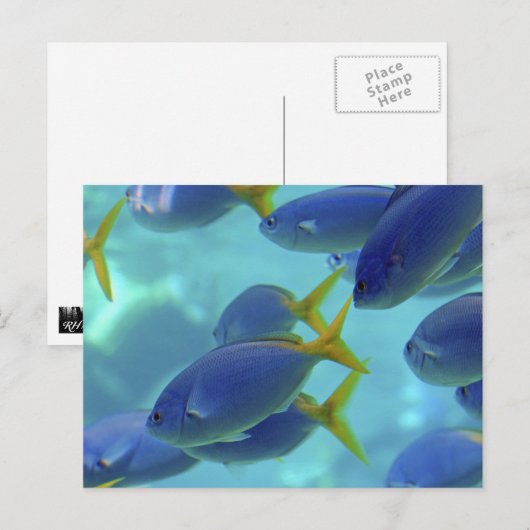 Die Schule ist aus! Postkarte (Vorne/Hinten)