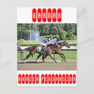Die Schuylerville-Seen Postkarte