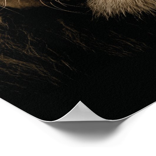 Die schwache Nahrung - Löwe - Hustel Poster (Ecke)