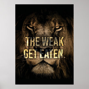 Die schwache Nahrung - Löwe - Hustel Poster