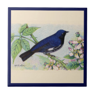 Die schwarz-rotgetropfte blaue Warbler-Keramik Fliese