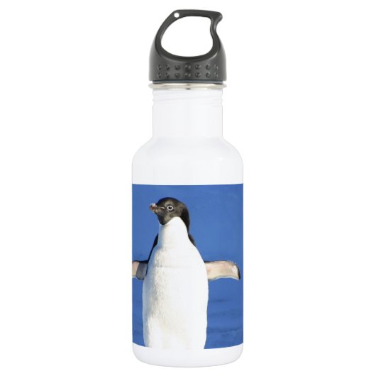 Die Schwarz-weißen Penguin-Vogel-Federn Edelstahlflasche (Vorderseite)