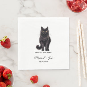 Die schwarzasiatische Katze, die ich ihre erste Ho Serviette