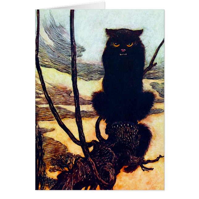 Die schwarze Katze (Vorne)