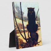 Die schwarze Katze Fotoplatte (Seite)