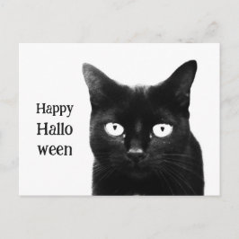 Die schwarze Katze Halloween Postkarte