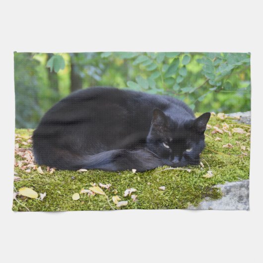 Die schwarze Katze ist schmutzig Geschirrtuch (Horizontal)