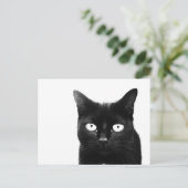 Die schwarze Katze Postkarte (Stehend Vorderseite)