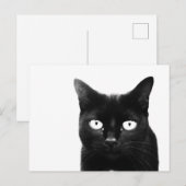 Die schwarze Katze Postkarte (Vorne/Hinten)