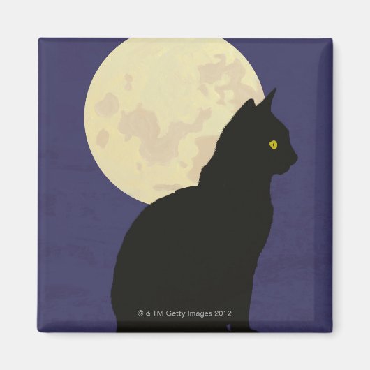 Die schwarze Katze und der Mond Magnet (Vorne)