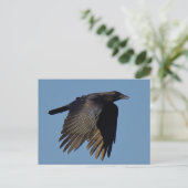 Die schwarze Kurve Postkarte (Stehend Vorderseite)