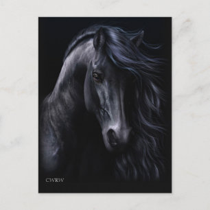 Die schwarze Postkarte