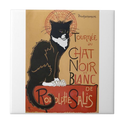 Die schwarze und weiße Katze Fliese (Vorderseite)