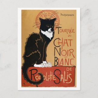 Die schwarze und weiße Katze Postkarte