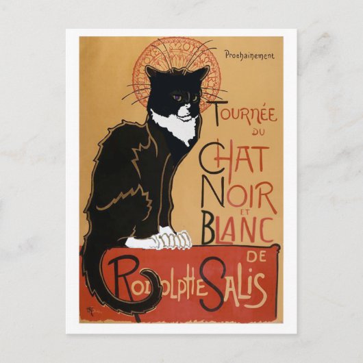 Die schwarze und weiße Katze Postkarte (Vorderseite)