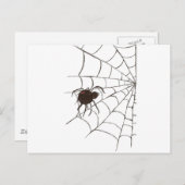 Die schwarze Witwe Postkarte (Vorne/Hinten)