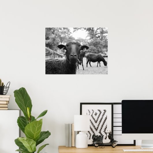 Die schwarzen Schafe Poster (Heimbüro)