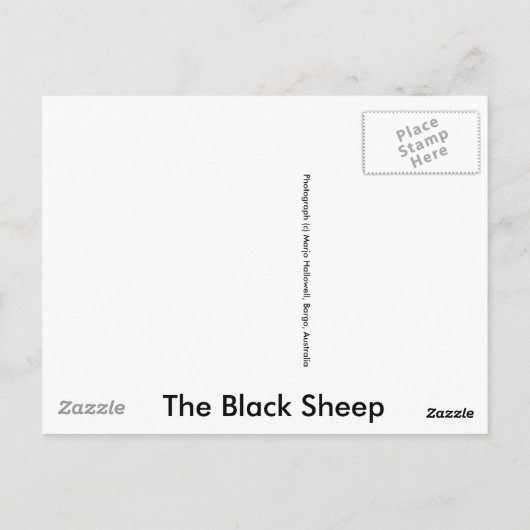 Die schwarzen Schafe Postkarte (Rückseite)