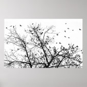 die schwarzen Vögel Poster (Vorne)