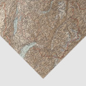 Die Schweiz 25 Seidenpapier (Ausschnitt)