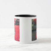 DIE SCHWEIZ, GENF: 75. Jährliches Genf-Auto 8 Tasse (Zentrum)