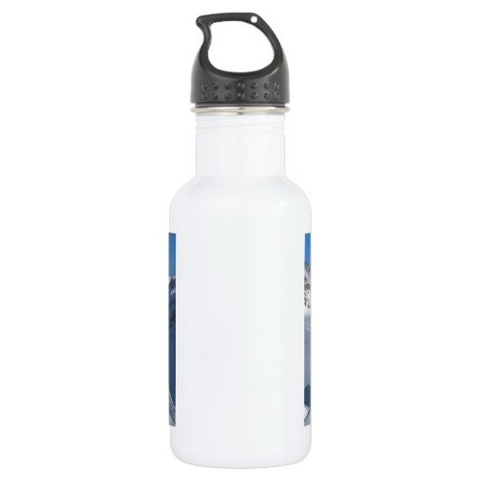 Die Schweiz, Jungfraujoch, Spitze von Europa Trinkflasche (Rückseite)